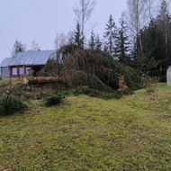 Nupjautų medžių sutvarkymas, medienos, šakų išvežimas