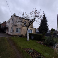 Ieškau kas nupjautų dvi mažas obelis, išsivežtų menkavertas šakas ir išfrezuotų kelmus