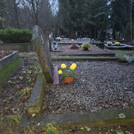 Paminklo, tvorelių atnaujinimas