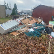 Reikia isvezti medziu sakas ir siuksles is sklypo