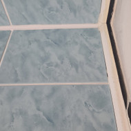 Vonios tvarkymas/pakėlimas