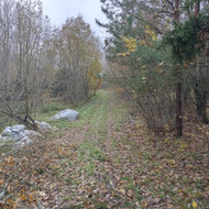 Statybinių atliekų išvežimas