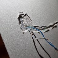 Domofono laido tvarkymas