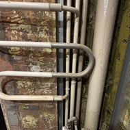 Gyvatuko pajungimas. Susukti kranelius