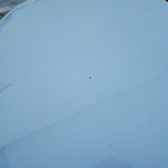 Automobilio dažymas