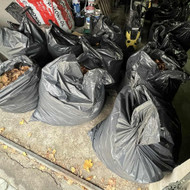 Lapų grėbimas ir išvežimas Vilniuje