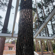 Reikalingi du užsandarinimai tarp stoginės stiklo ir medžio