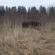 Apleistų sklypų tvarkymas