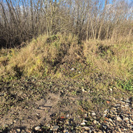 Ieškau kas apsiimtų išvalyti sklypą nuo smulkių medelių ir krūmų