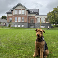 Šunų, kačių kirpyklos