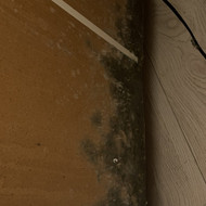 Konsultacijos del rekuperatoriaus įrengimo