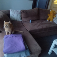 Baldų restauravimas, remontas