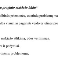 Rašto darbų konsultantai