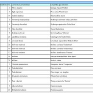 Pagal projektą įgyvendinti kiemo viziją