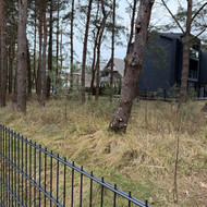 Teritorijos sutvarkymas