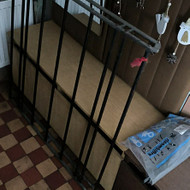 Reikia pervežti krovinį...