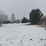 Sklype Vilniuje reikia išpjauti medžius, susmulkinti ir išvežti šakas ir medieną