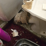 Ieškau santechniko, klozeto keitimas