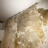 Sienos remontas po užliejimo