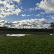 Šlaitų tvirtinimas ir apželdinimas