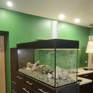 Virtuvės sienos perdažymas Vilniuje bute