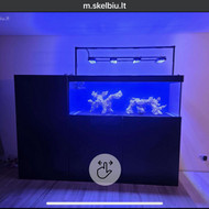 Krovinio pervežimas