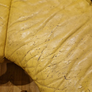 Vienoje vietoje įtrūkusi oda apie 5 cm, taip pat suskilinėjusi