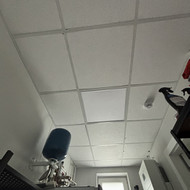 Perdaryt lubas armstrong katilinej