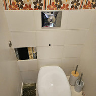 Darbai: griovimas + statybinių atliekų išvežimas