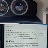 DPF ir FAP suodžių filtrų išjungimas