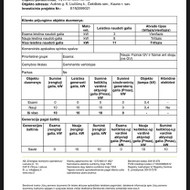 Elektros galios didinimo projektas