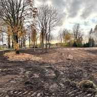 Aplinkos tvarkymas, apželdinimas