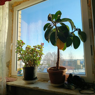 Vidaus apdailos darbai