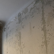 Pilnas sienų sutvarkymas