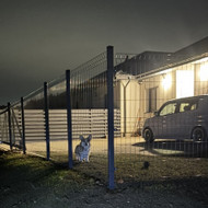 Ieškau kas galėtų sukloti trinkeles nuo namo kampo (raudona linija) iki tvoros