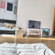 Ieškau gerų meistrų sienų glaistymui ir dažymui, bei grindų laminačių keitimui