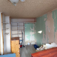 Elektros išvedžiojimai