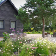 Ieškau sodybos nuomai