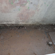 Ieškau valymo paslaugų