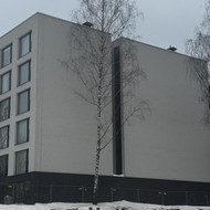 Medžių genėjimas, pjovimas