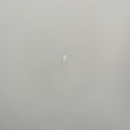 Sienų špakliavimas/dažymas