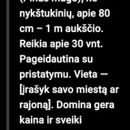 Pušeliụ metro auksčio gali būti aukštesnės,pinus mugo,30 vienetu,tiktu su vazonieliais