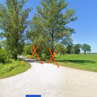 Medžių kirtimas prie Biržų