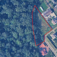 Reikalingas sklypo valymas nuo augmenijos