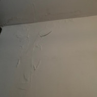 Gibso sienos perdarymas