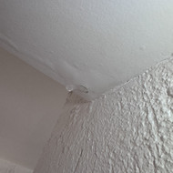 Skubus stogo remontas