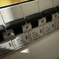 Dingo keletoje rozečių elektra