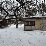 Medžių pjovimas - išvežimas