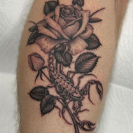 Tatuiruotės (tattoo)