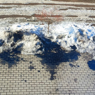 Ieškau, kas išvalytu tepalaus ant trinkelių kieme